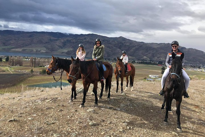 Experience the stunning hills of Central Otago on horseback featuring breathtaking views of Lake Dunstan and the Mt Pisa range with picturesque orchards and rolling landscapes surrounding you.